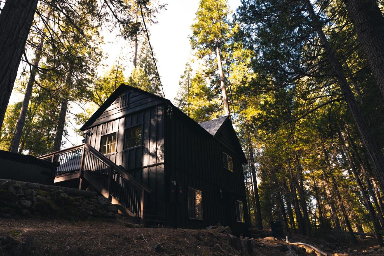 Inside Yosemite Forest Cabin w Hot Tub & AC - B&B Wawona