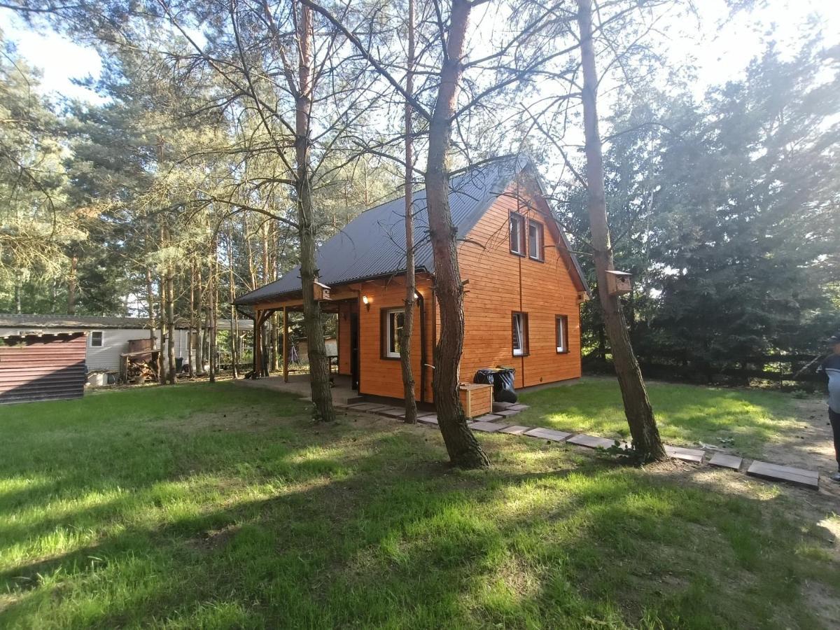 Domek nad jeziorem Wilczyńskim - B&B Świętne