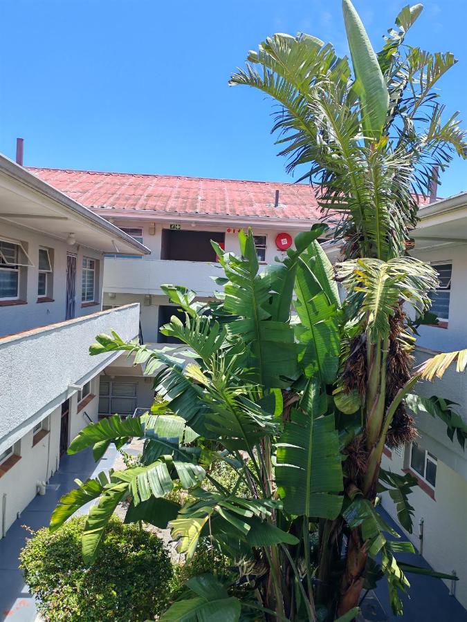 Large and cozy 2 bedroom 200m from the ocean - B&B Città del Capo