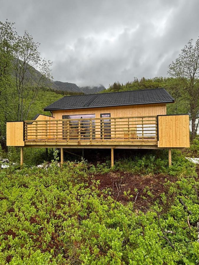 Cabin with PANORAMA View Sigerfjord Vesterålen - Chambres d'hôtes Sortland