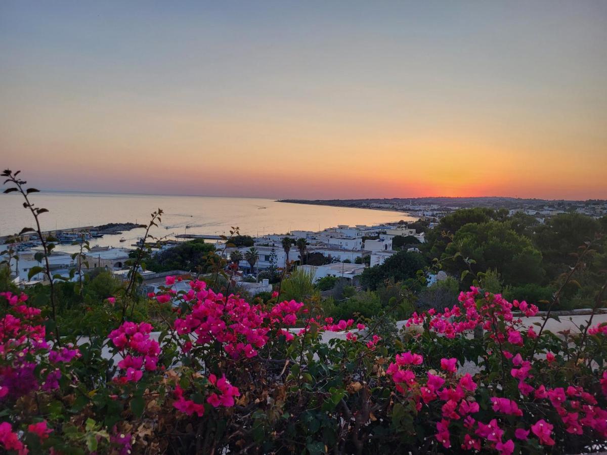 Antonella House - B&B Torre Vado