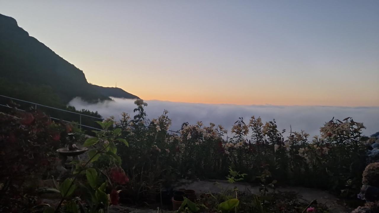 Apartament on the edge of the Teide National Park - B&B Los Realejos