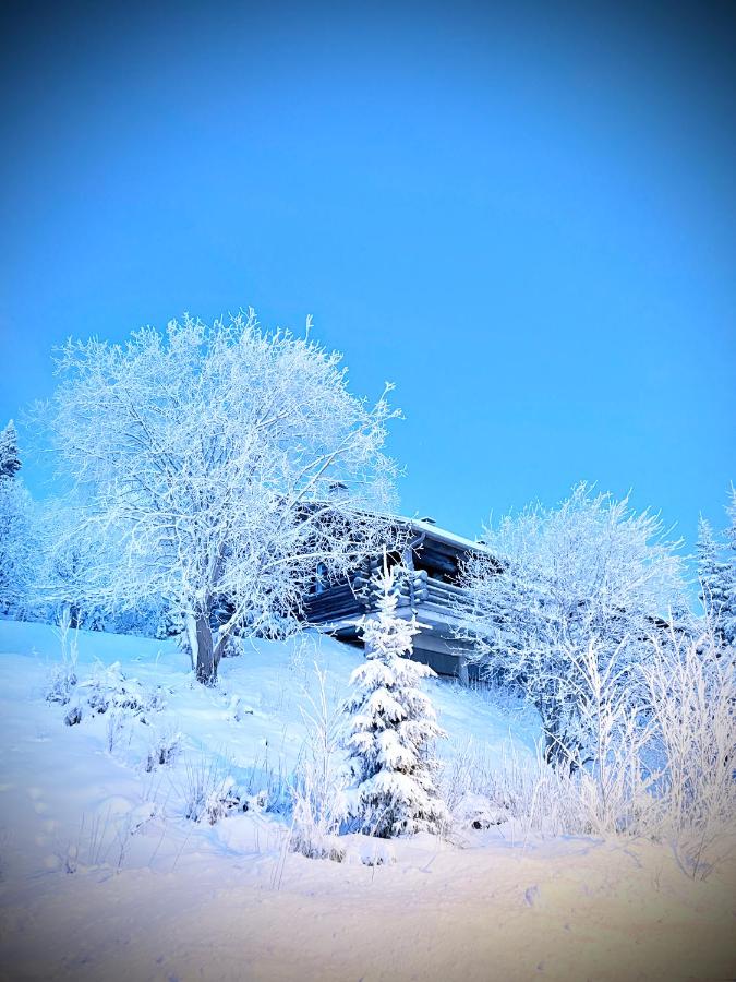 Aurora by the Slopes, views, ski in, hike & xc-ski trails - Lapland Villas - B&B Ruka