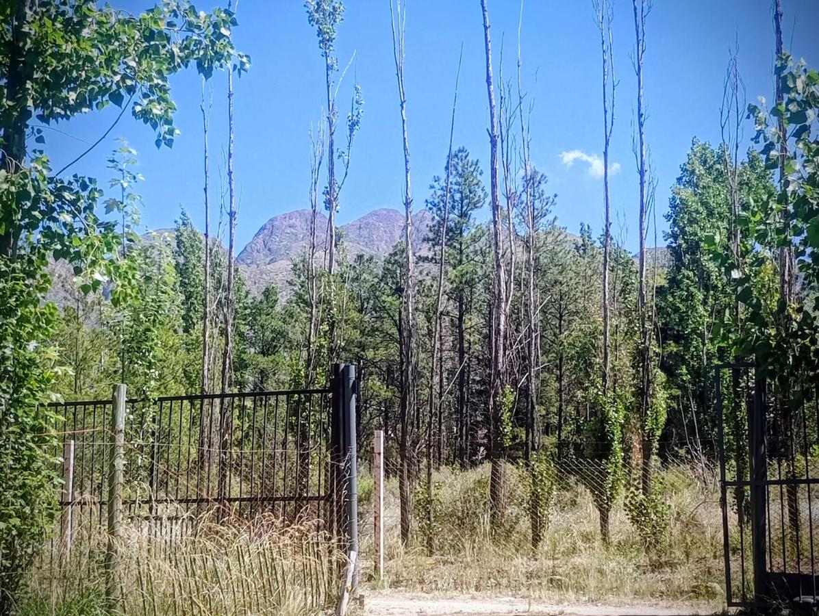 Chalet met 1 Slaapkamer