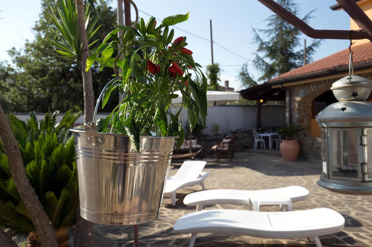 B&B Fasolino - B&B Castellabate