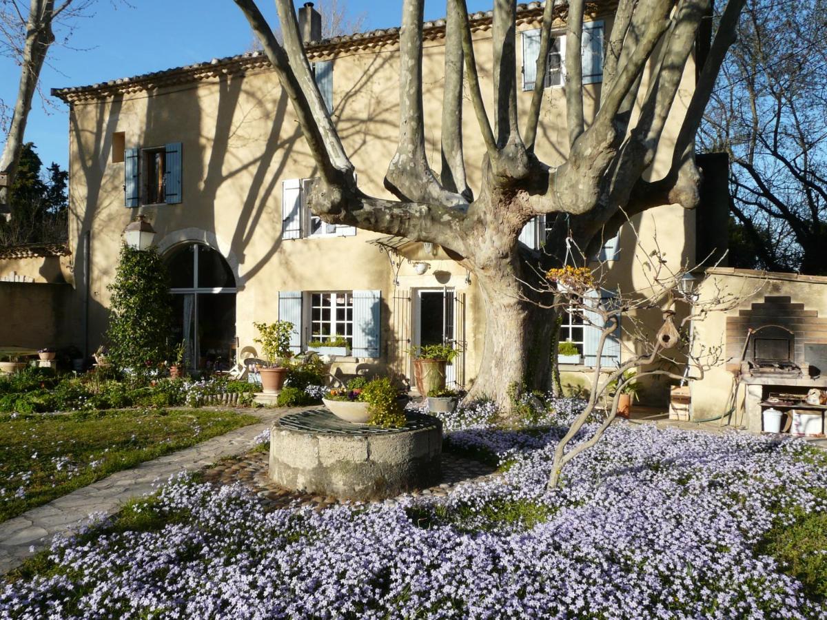 B&B Villeneuve-lès-Avignon - La Petite Seigneurette - Bed and Breakfast Villeneuve-lès-Avignon