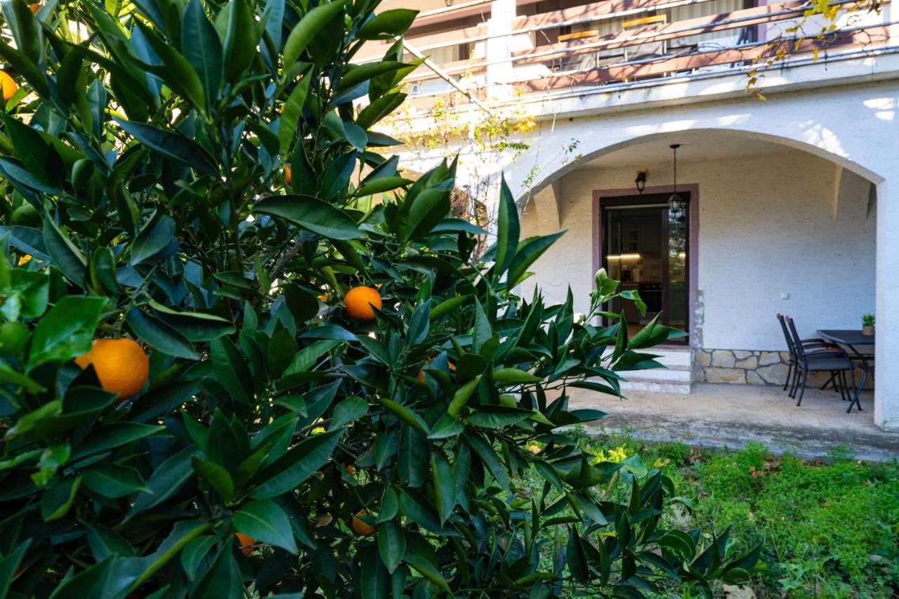 Villa Goldy - Chambres d’hôtes Biograd na Moru