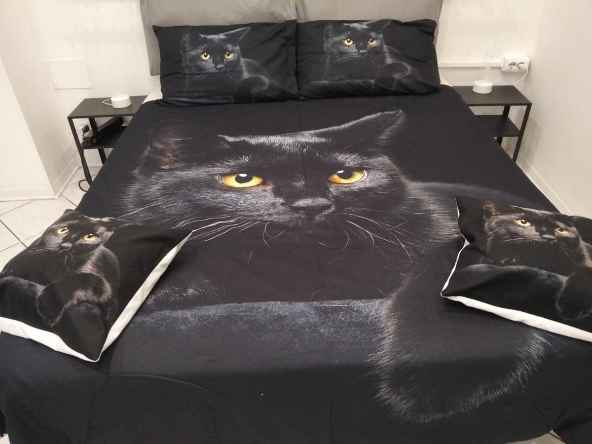 Il covo del gattonero - B&B Catania