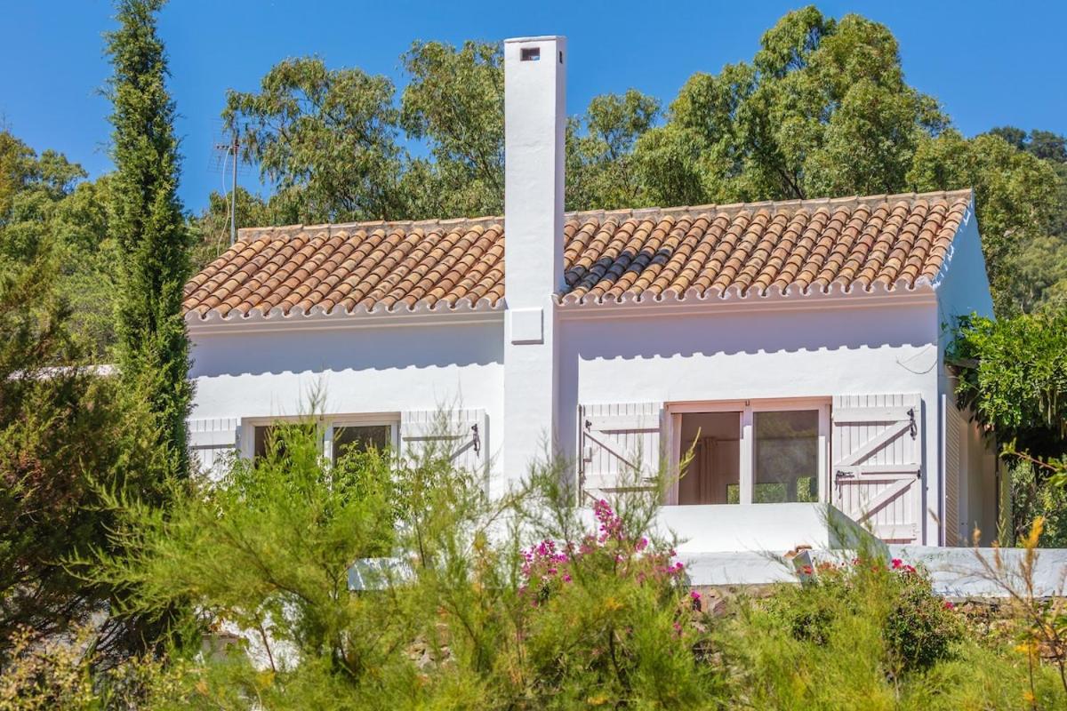 Casa Pájaro del Músico, Bolonia - Chambres d’hôtes Bolonia