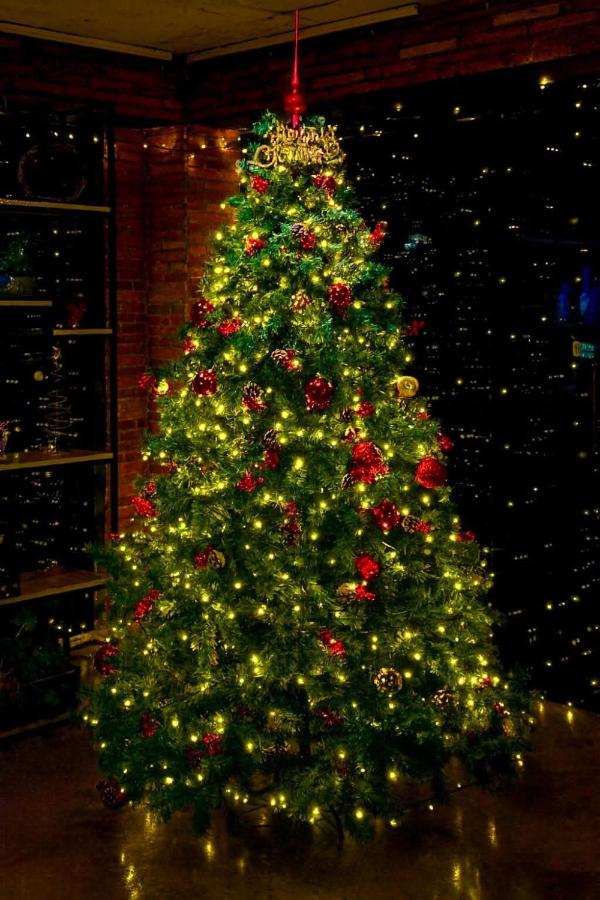 Bakuriani Art Hotel apartament - Ferienwohnung Bakuriani