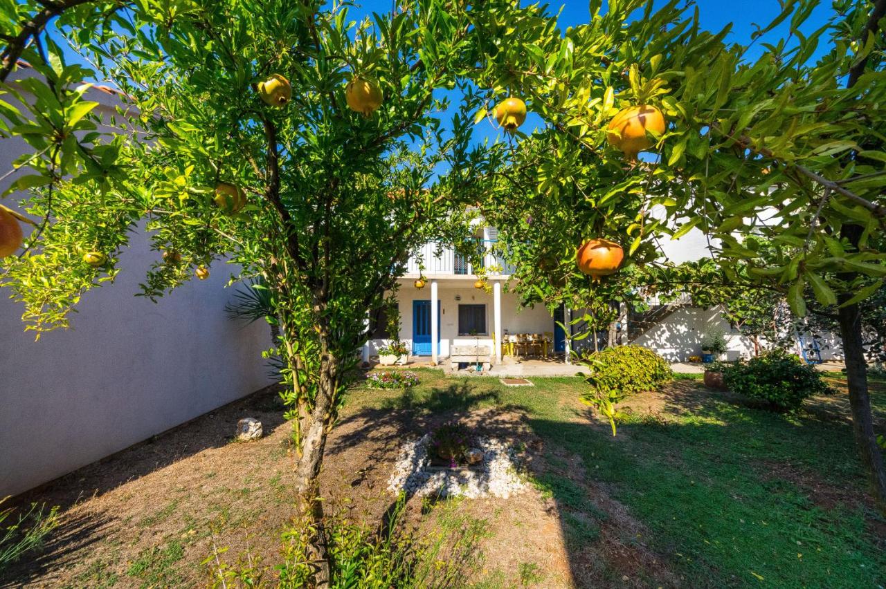 Apartment Marul - B&B Zadar