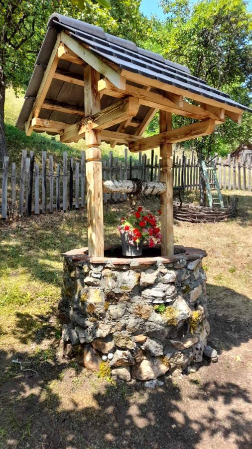 Stari dud Beserovina - B&B Bajina Bašta