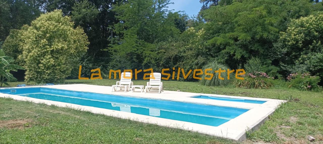 la morita silvestre - Bed and Breakfast General Rodríguez