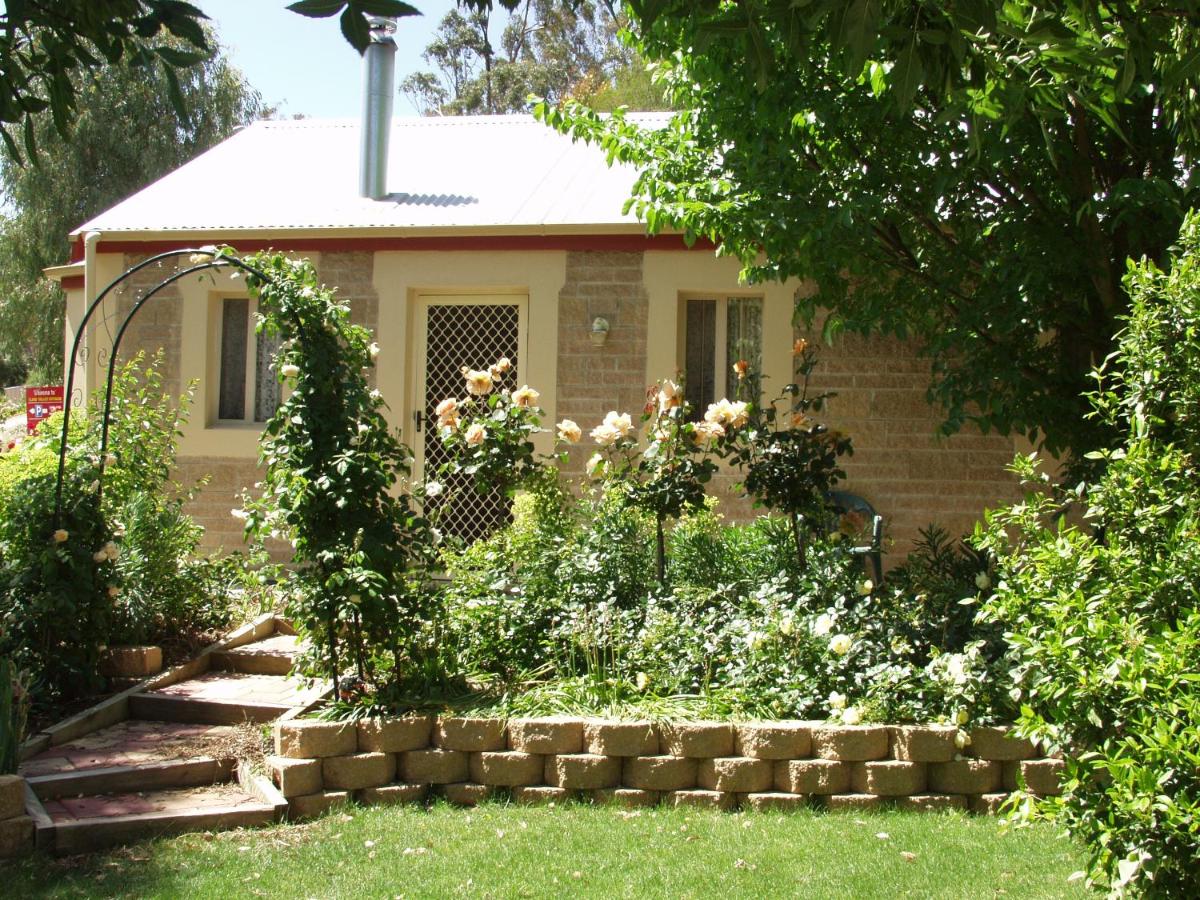 Riesling Trail & Clare Valley Cottages - B&B