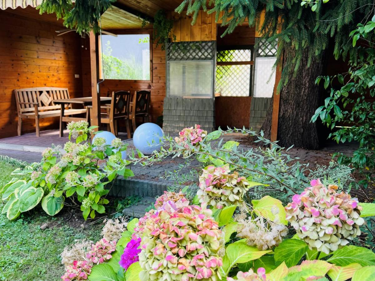 Center Apartments Bludenz - Bed and Breakfast Bludenz