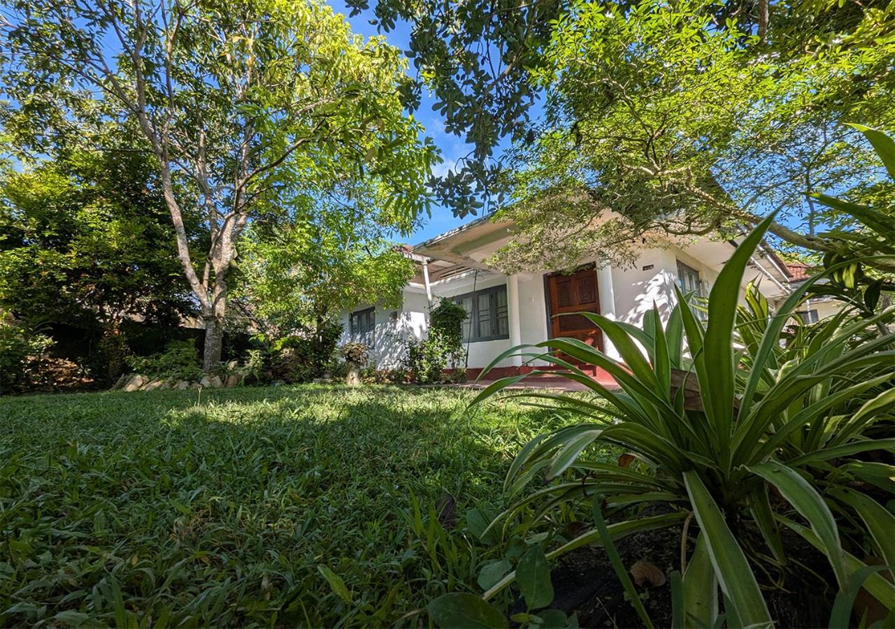 Green Haven - B&B Ahangama