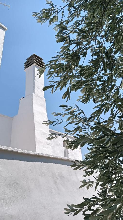 Villa Delia in campagna - B&B Monopoli