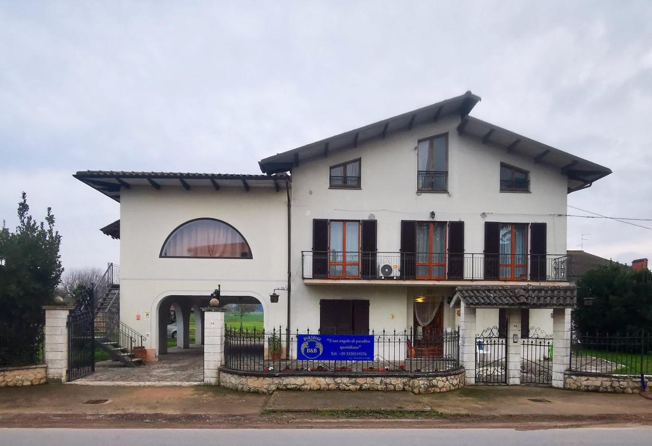 Paradise B&B - B&B Panicarola