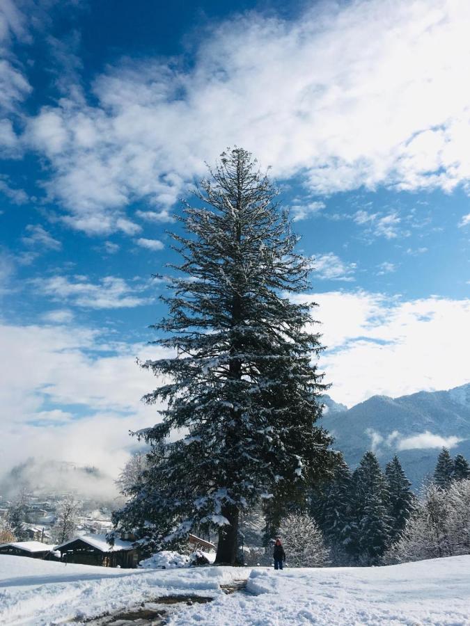 Villa al Parco - Ferienwohnung Pieve di Cadore