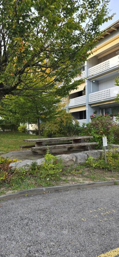 Appartement cosy a Erlach - Lac de Bienne - B&B Erlach