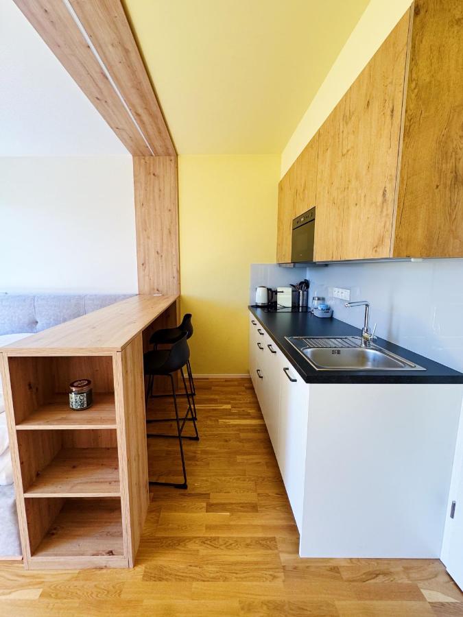 Horský apartmán Klínovecké louky 182-3 - B&B Loučná pod Klínovcem
