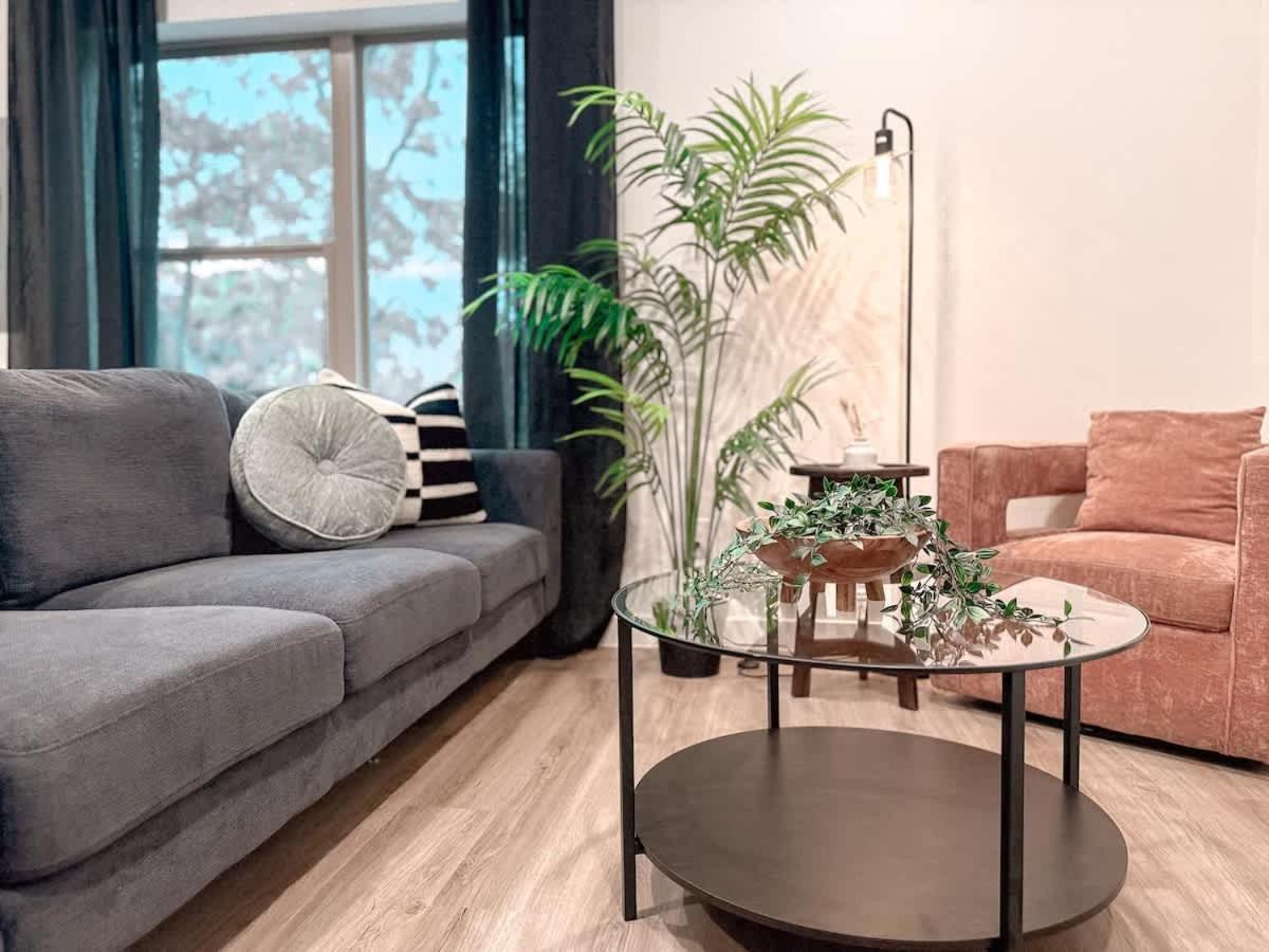 Comfy 1B1B - Medical District - Love Field Airport - Bed and Breakfast Oldham