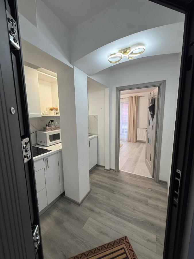 Studio Nicolas - B&B Lugoj