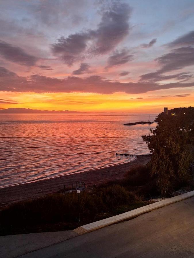 Lia Apartment Sea View - B&B Néa Fókaia