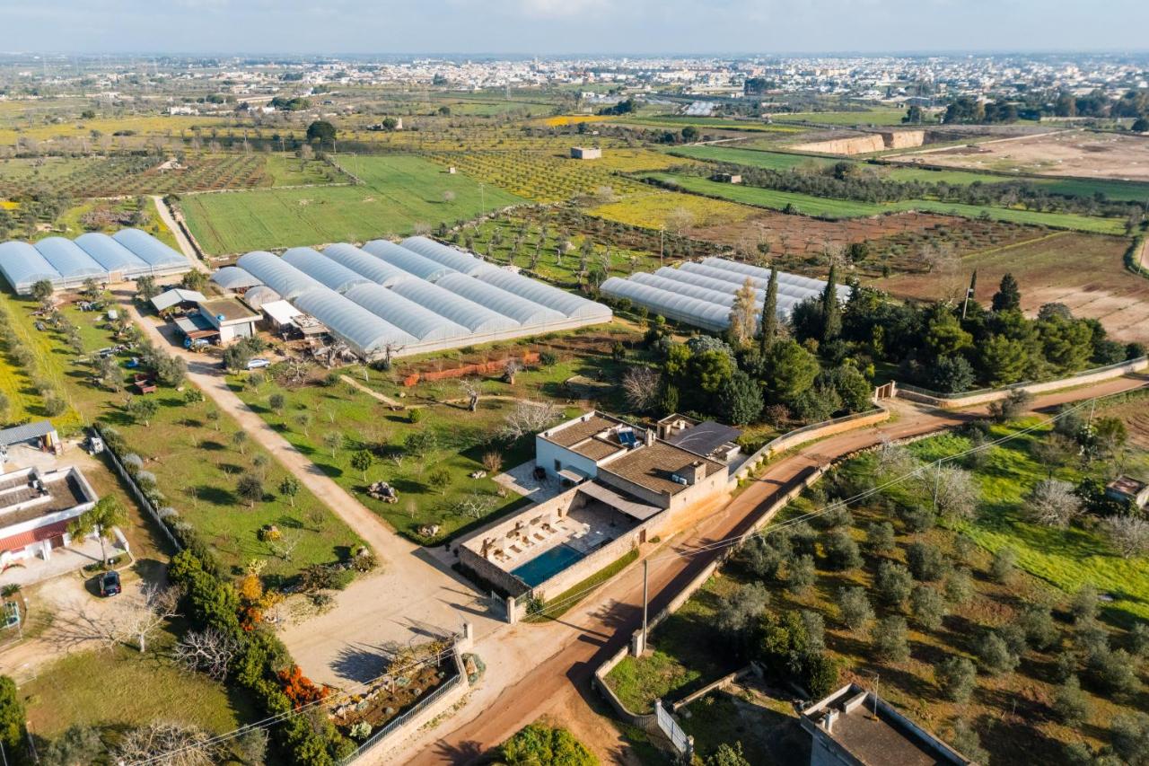 Masseria Lovetere - Salento Selection - B&B Copertino