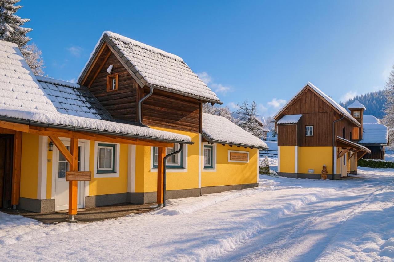 Ski und Wander Ferienhäuser Galsterberg-Blick Pruggern - Schladming-Dachstein - B&B Pruggern
