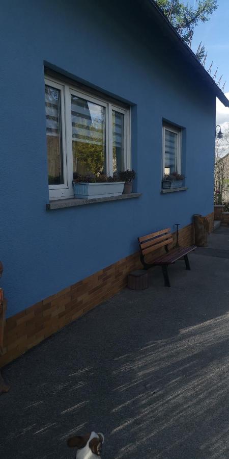 Ferienhaus VILLA ZAUBERBLICK am Rennsteig Frankenwald FREISTEHEND naturnah HUNDEFREUNDLICH eingezäunt - B&B Ludwigsstadt