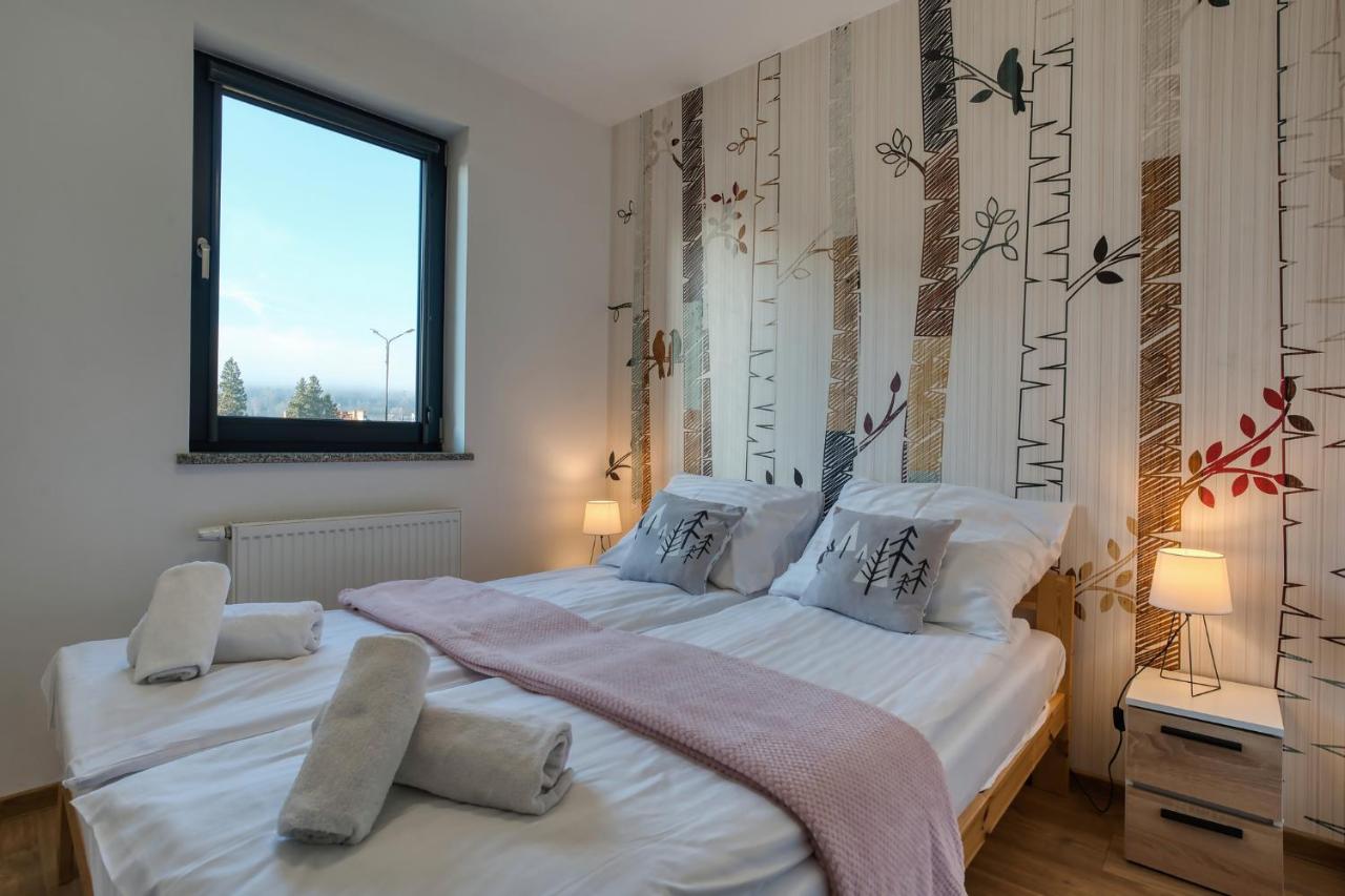 Appartement 1 Chambre