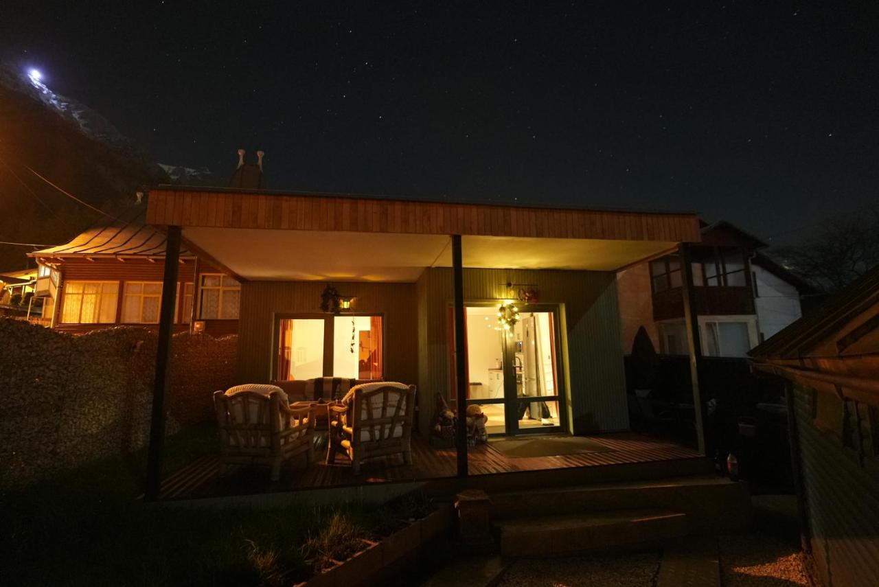 Alpine Yard Nest Busteni - B&B Buşteni