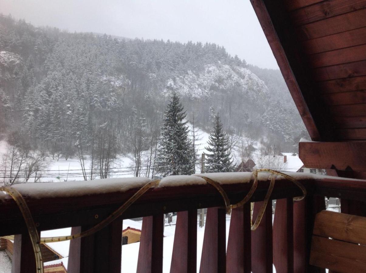 Vila Ianis Bran - B&B Bran