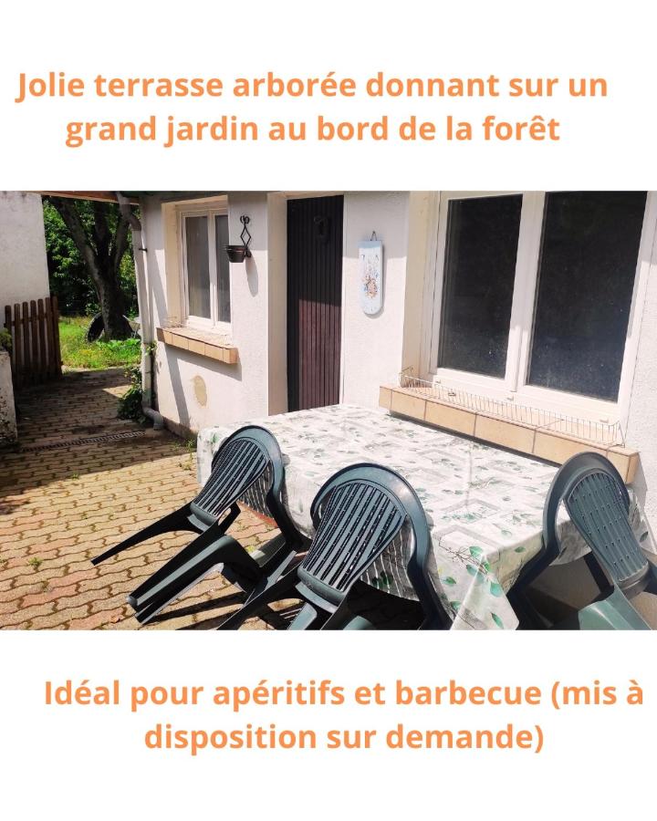 Veranda & Nature aux portes de la forêt - B&B L'Hôpital