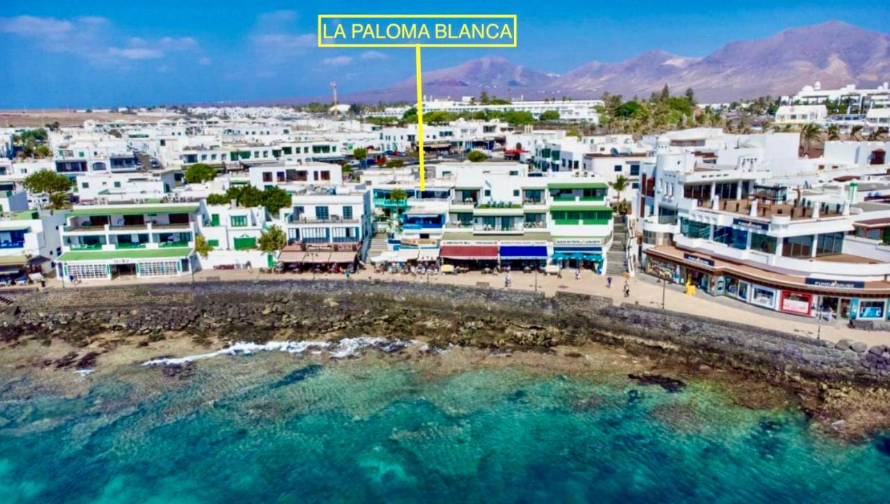 La Paloma Blanca - The White Dove - B&B Playa Blanca