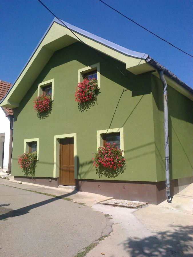 B&B Velké Bílovice - Penzion Andrea - Bed and Breakfast Velké Bílovice