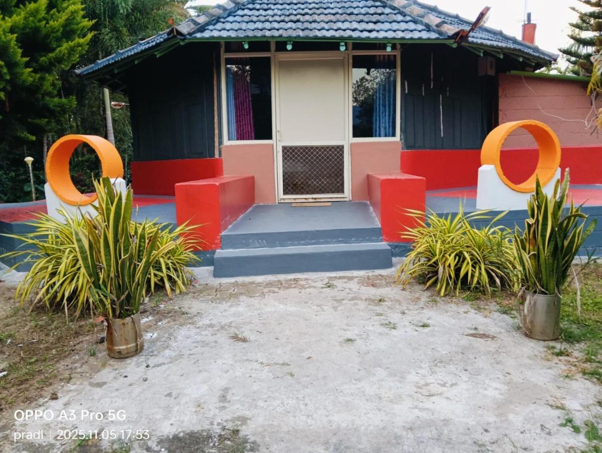 Habitación compartida mixta de 10 camas