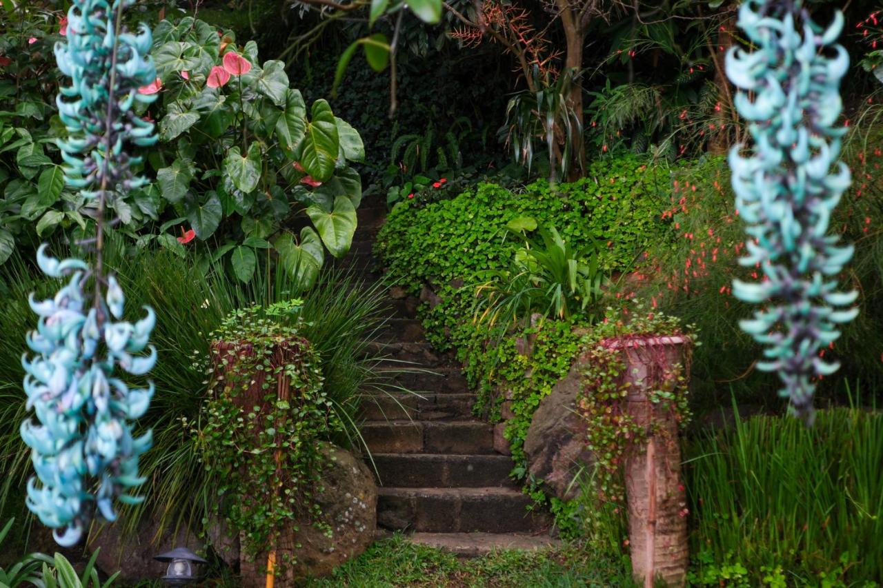 Relaxtitlan House on the lake shore - B&B Panajachel