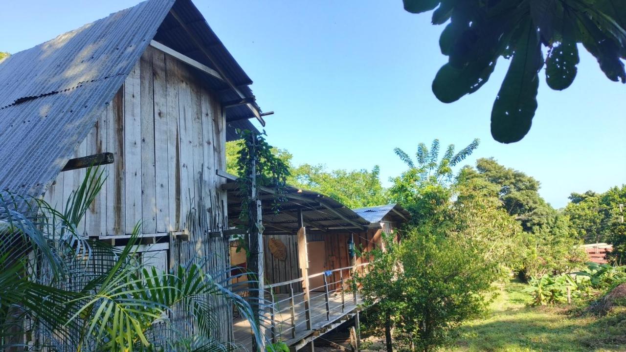 HOSTAL CASA EL RINCON MADERA Lodge - B&B Palomino