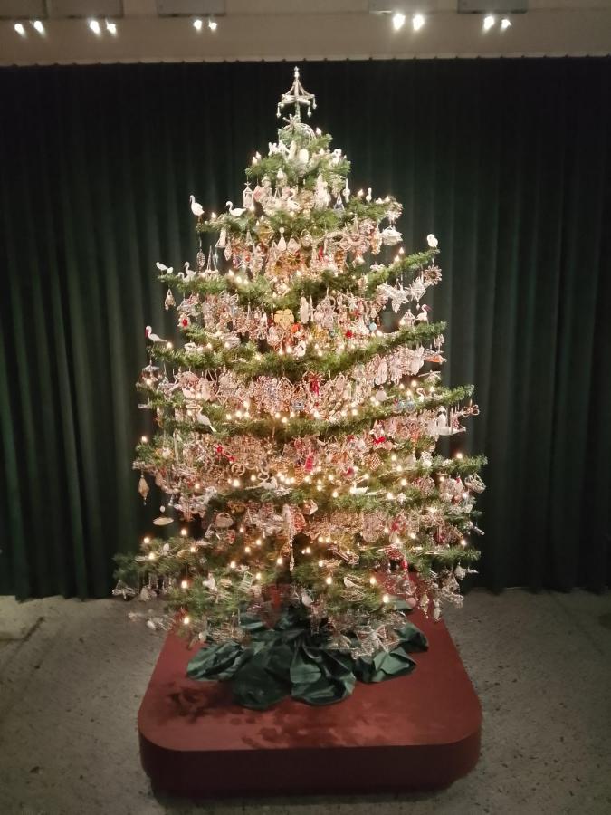 DOMUS AETRURIAE (ETRURIE) - B&B Bracciano