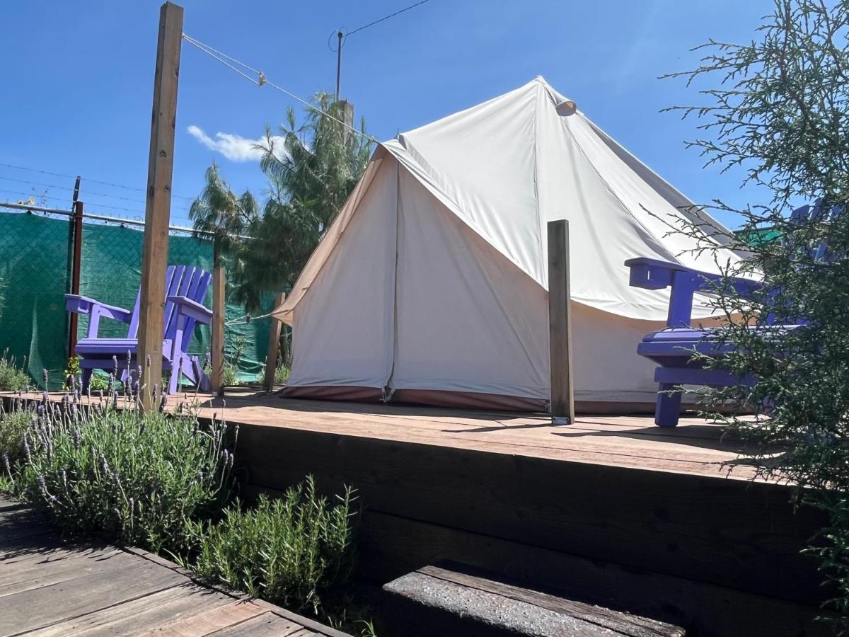 Glamping Rincón de Lavanda - B&B Texcoco