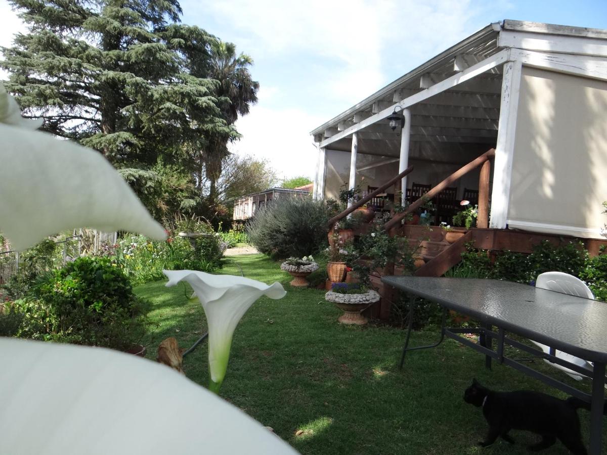 Art Gallery Guest House - B&B