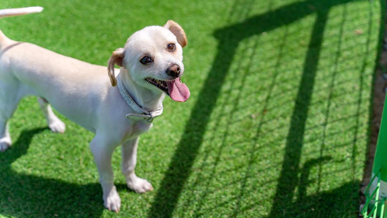 Gangneng Soowarae Pension - B&B Gangneung