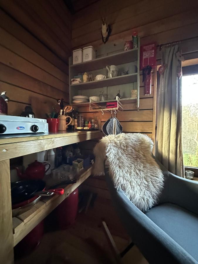 Domaine de Hurlevent - Denis'hut Cabane - B&B Aywaille