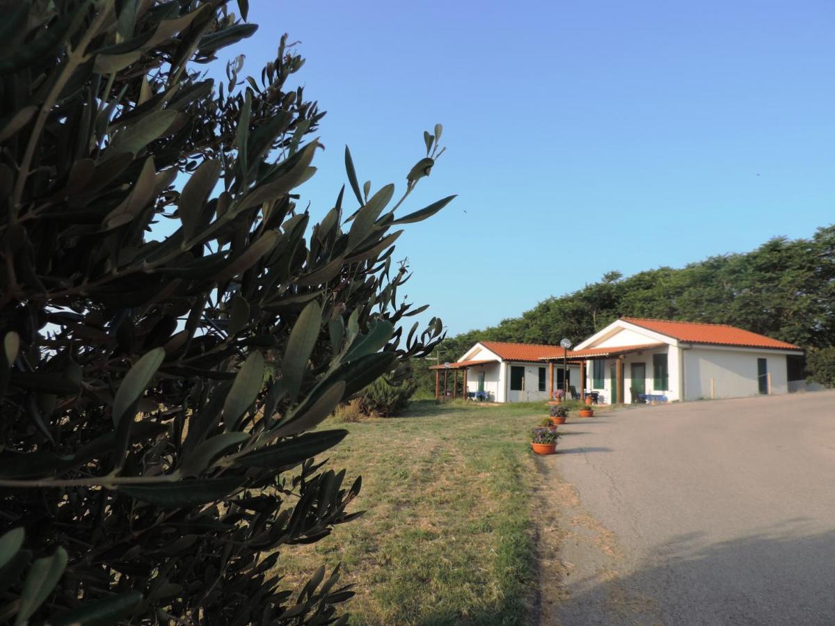 Agriturismo Sila - Ferienwohnung