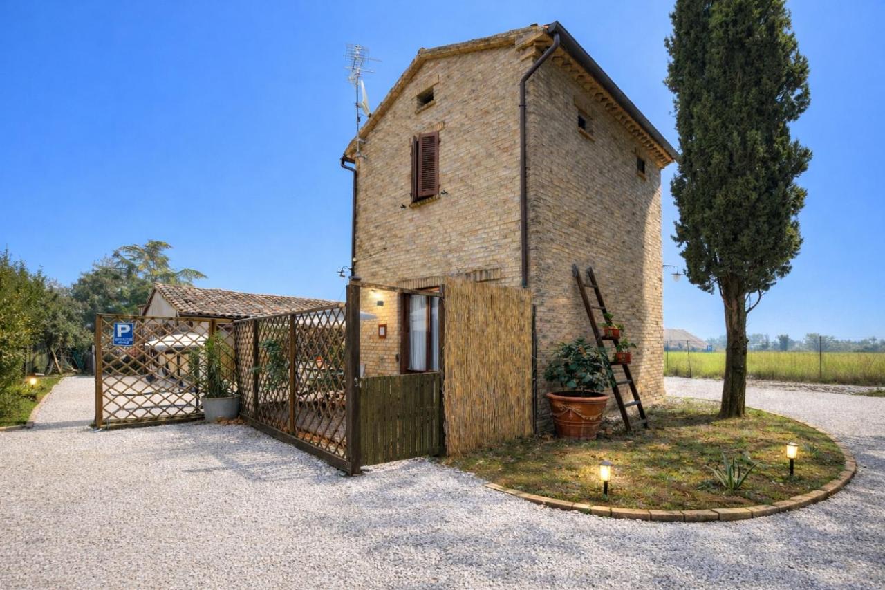 Fattoria Coppetella Moroseta - B&B Molino d'Agugliano