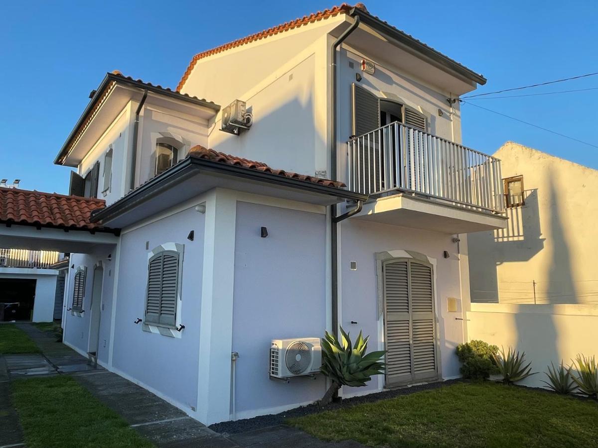 Bird’s Home - B&B Aveiro