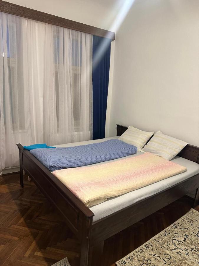 Casa Roxana - B&B Craiova