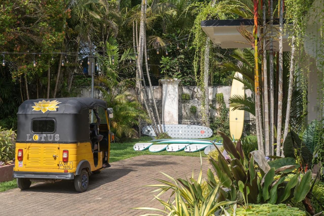 Lotus Surf And Wellness - B&B Ahangama